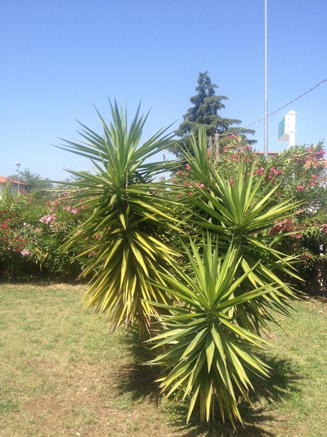 Bed and Breakfast Ma.Di Bb Rocca San Giovanni Exterior foto